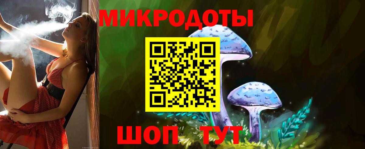 Галлюциногенные грибы Psilocybine cubensis  Псилоцибиновые грибы прущие грибы  Ачинск  Вход с VPN 
